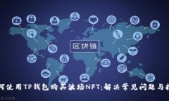 如何使用TP钱包购买波场NFT：解决常见问题与技巧