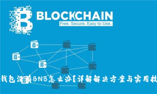 TP钱包没有BNB怎么办？详解解决方案与实用技巧