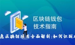 2023年高危区块链项目全面解析：如何识别风险与