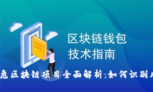 2023年高危区块链项目全面解析：如何识别风险与机遇