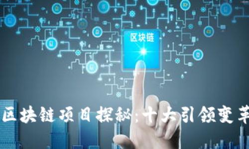 成功的区块链项目探秘：十大引领变革的典范