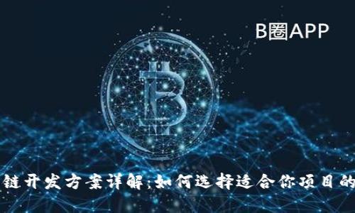 区块链上链开发方案详解：如何选择适合你项目的最佳路径
