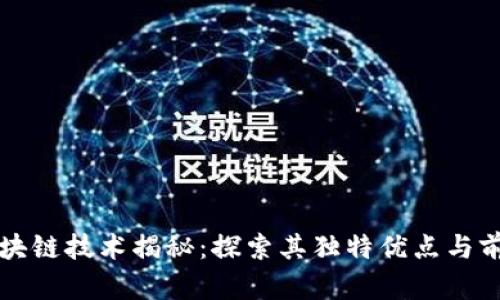 区块链技术揭秘：探索其独特优点与前景