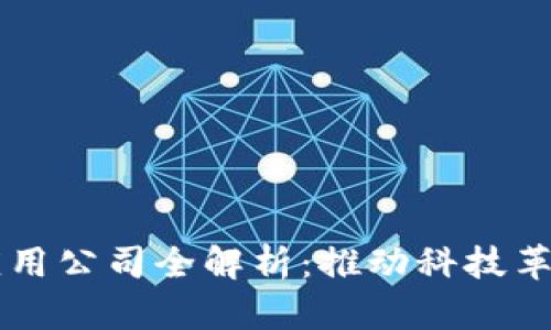 亳州区块链应用公司全解析：推动科技革新的前沿力量