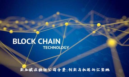 新加坡区块链公司全景：创新与机遇的汇聚地