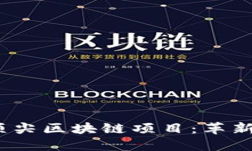 2023年必知的顶尖区块链项目：革新科技与未来趋势