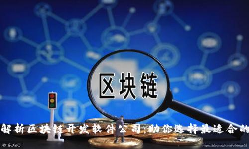 全面解析区块链开发软件公司：助你选择最适合的伙伴