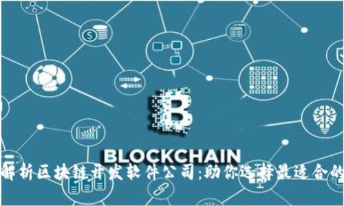 全面解析区块链开发软件公司：助你选择最适合的伙伴
