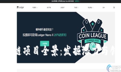 南康区块链项目全景：发掘潜力与创新机遇