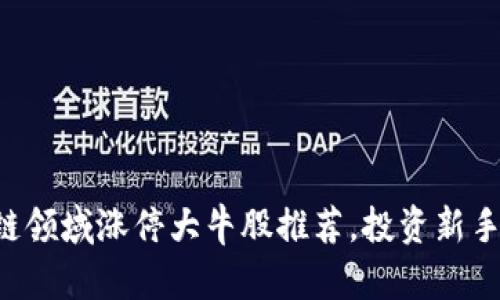 区块链领域涨停大牛股推荐，投资新手必看！