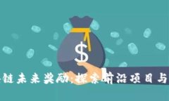 区块链未来奖励：探索前沿项目与机遇