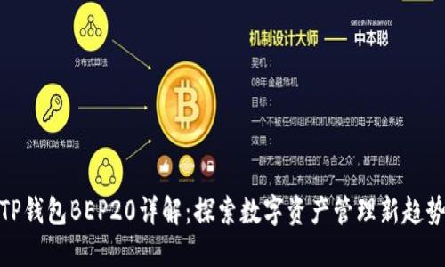 TP钱包BEP20详解：探索数字资产管理新趋势