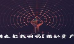 TP钱包币被转走能找回吗？揭秘资产安全新方法！