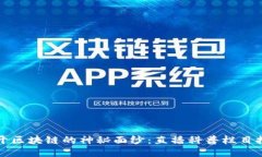 揭开区块链的神秘面纱：直播科普栏目推荐