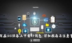 如何在iOS设备上下载TP钱包：详细指南与注意事项