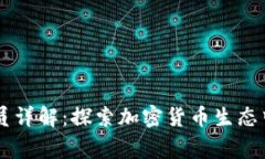 区块链家族成员详解：探索加密货币生态中的多