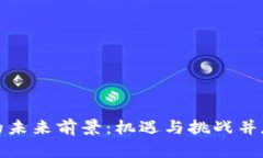 区块链行业的未来前景：机遇与挑战并存的创新
