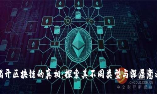 揭开区块链的真相：探索其不同类型与深层意义