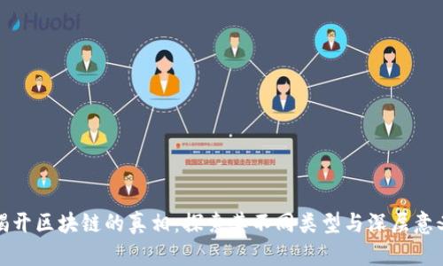 揭开区块链的真相：探索其不同类型与深层意义