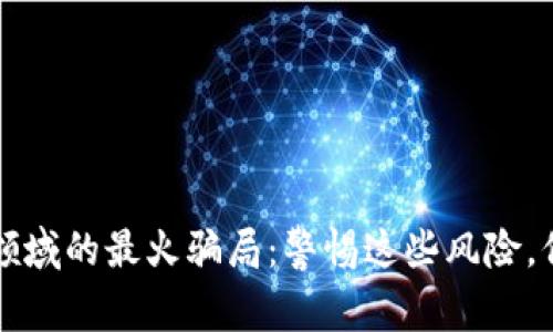 揭秘区块链领域的最火骗局：警惕这些风险，保护你的资产
