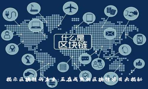 揭示区块链的未来：正在成熟的区块链项目大揭秘