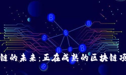 揭示区块链的未来：正在成熟的区块链项目大揭秘