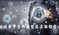 区块链项目平台的类型及其独特卖点解析