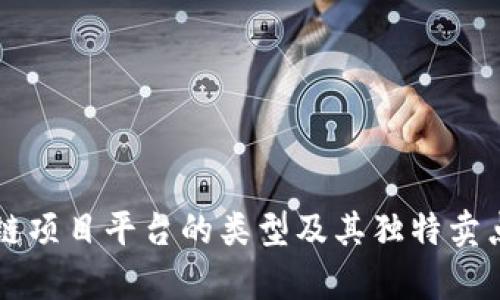 区块链项目平台的类型及其独特卖点解析