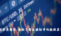 区块链数据分类解析：全面了解区块链中的数据