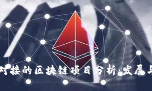 美国对接的区块链项目分析：发展与创新