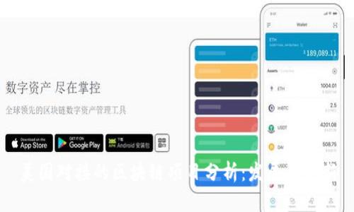美国对接的区块链项目分析：发展与创新