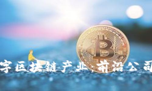 探索新疆数字区块链产业：前沿公司与创新应用