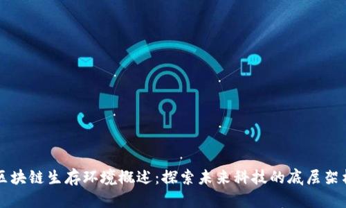区块链生存环境概述：探索未来科技的底层架构