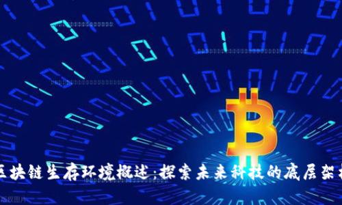 区块链生存环境概述：探索未来科技的底层架构