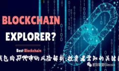 tp钱包购买代币的风险解析：投资者需知的关键因