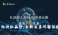 揭开LTT币的神秘面纱：全新交易所解锁投资新机