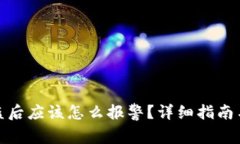 TP钱包被盗后应该怎么报警？详细指南与应对策略