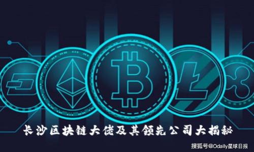 长沙区块链大佬及其领先公司大揭秘