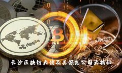 长沙区块链大佬及其领先公司大揭秘