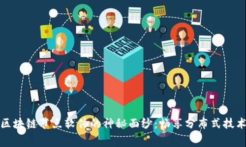 揭开免费区块链节点软件的神秘面纱：畅享分布式技术的新时代