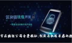张家港市区块链公司全景揭秘：创新与机遇并存