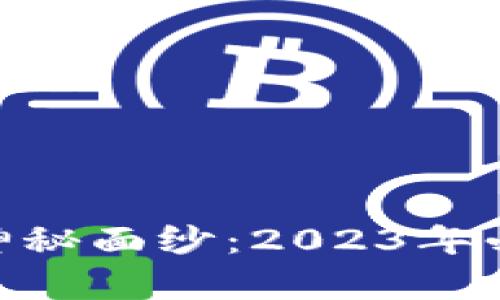 riaoti揭开区块链的神秘面纱：2023年必看区块链宣传片推荐