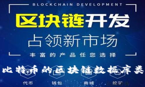 深入解析比特币的区块链数据库类型与特性