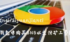 ziguanjianci/ziguanjianci如何在TP钱包中购买BNB以支付