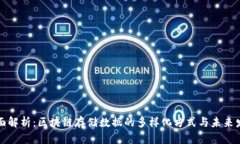 全面解析：区块链存储数据的多样化方式与未来