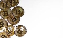区块链技术的顶尖专业：未来职业发展的新机遇