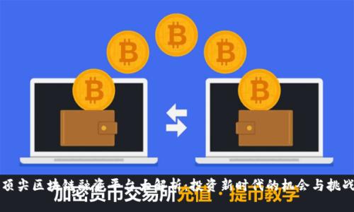 顶尖区块链融资平台大解析：投资新时代的机会与挑战