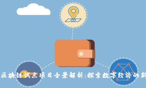 国家区块链试点项目全景解析：探索数字经济的新蓝海