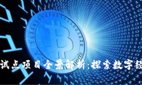 国家区块链试点项目全景解析：探索数字经济的新蓝海