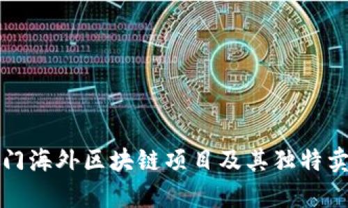 全球热门海外区块链项目及其独特卖点分析